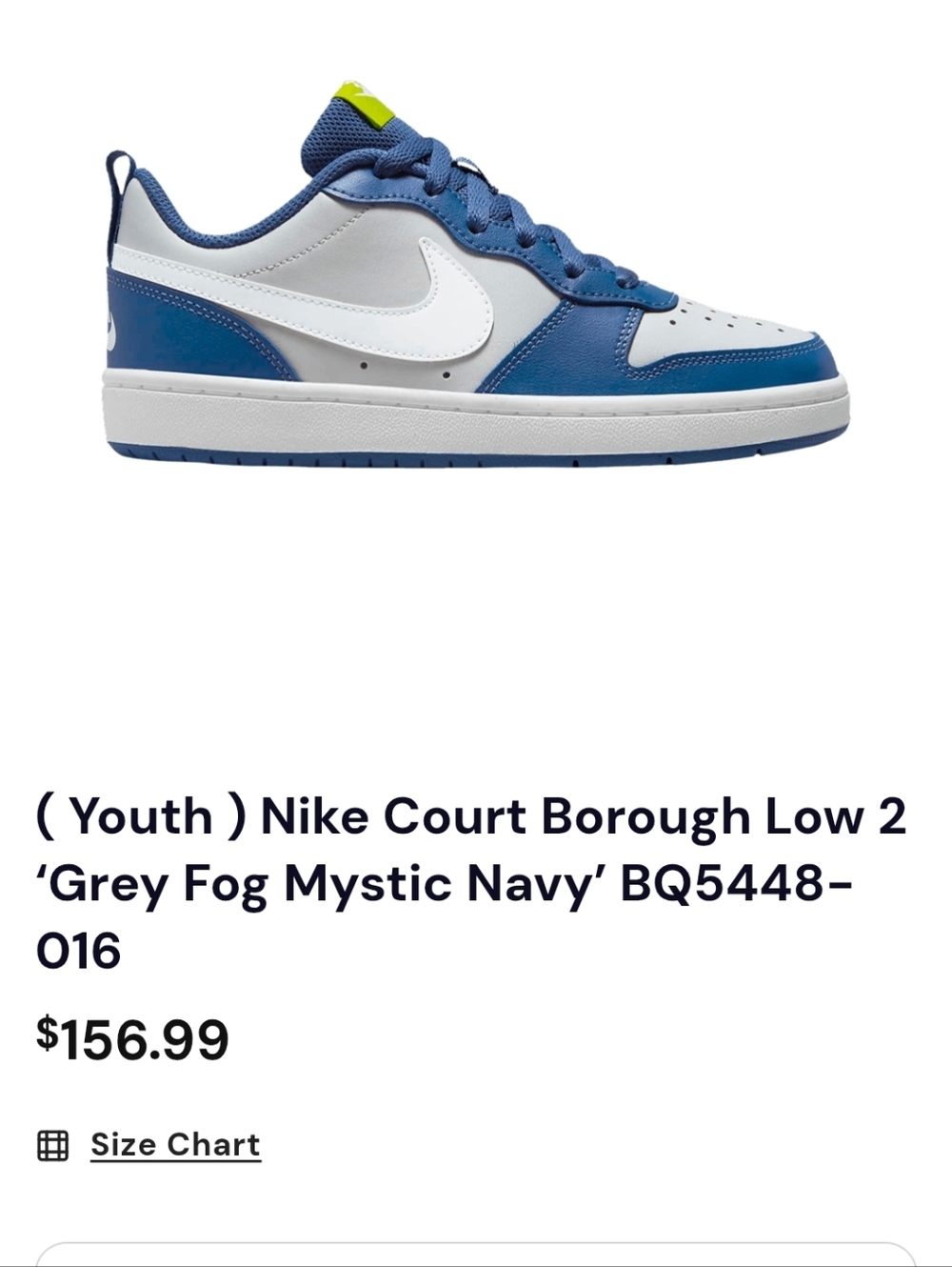 Nike Low-Top Sneakers in White & Blue
